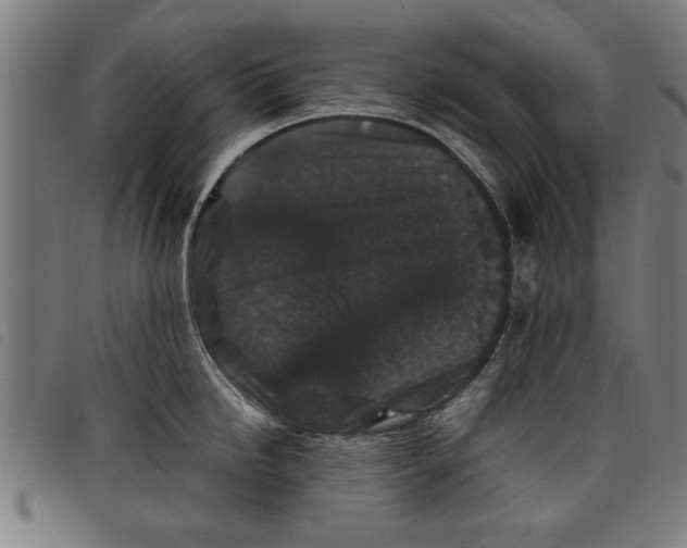 X0000097801246200804041307