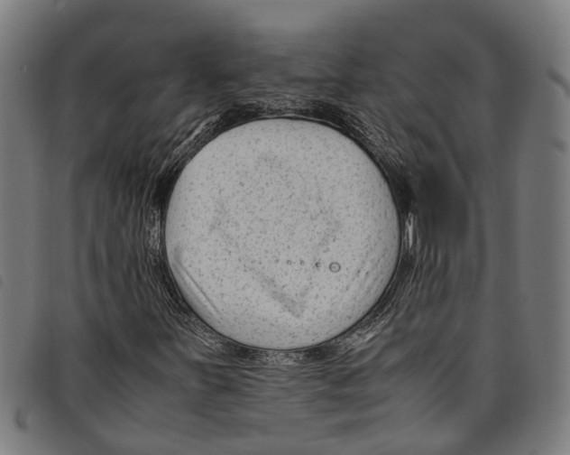 X0000097801251200804041307