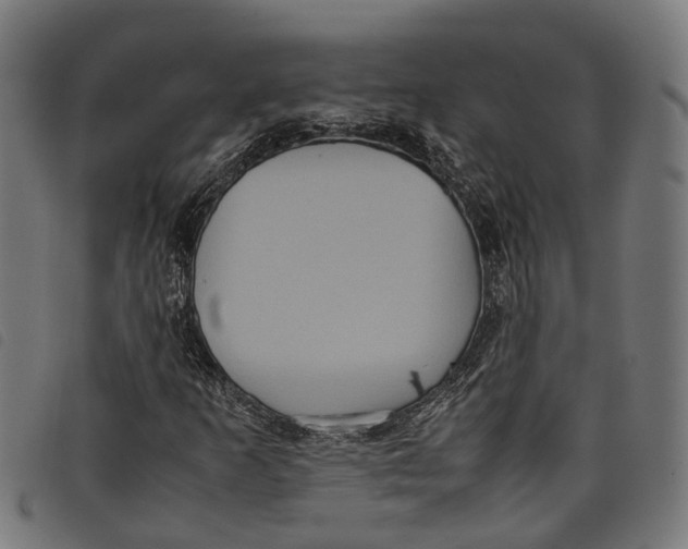 X0000097801253200804041307