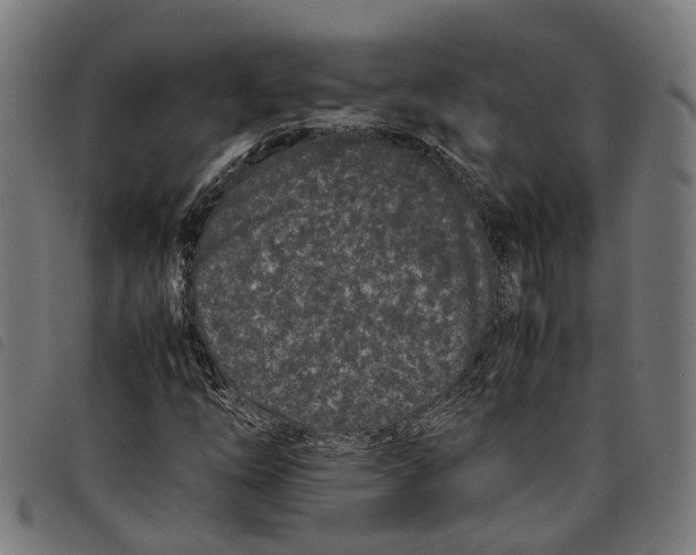 X0000097801254200804041307