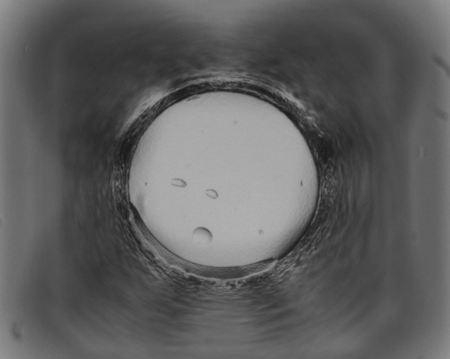 X0000097801255200804041307