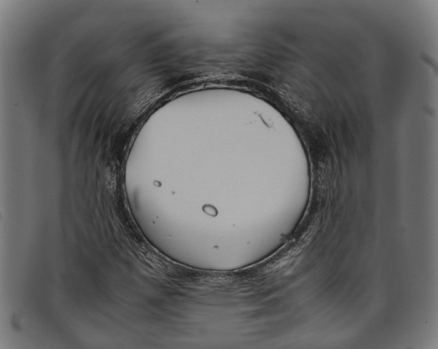 X0000097801257200804041307