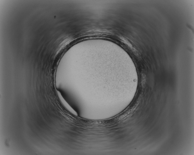 X0000097801259200804041307