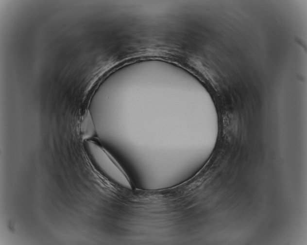 X0000097801260200804041306