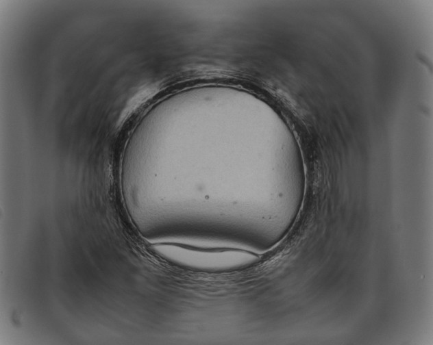 X0000097801261200804041306