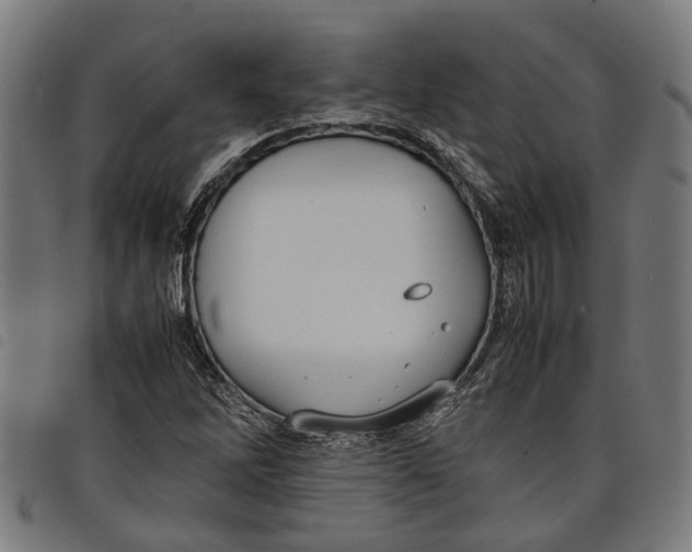 X0000097801262200804041306