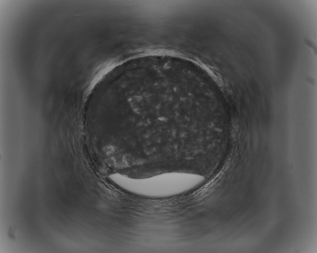 X0000097801263200804041306