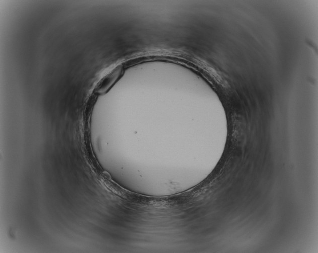 X0000097801264200804041306