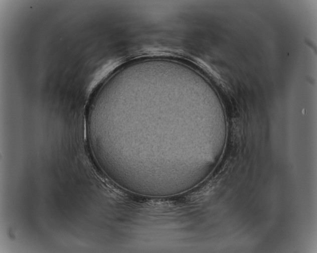 X0000097801269200804041306