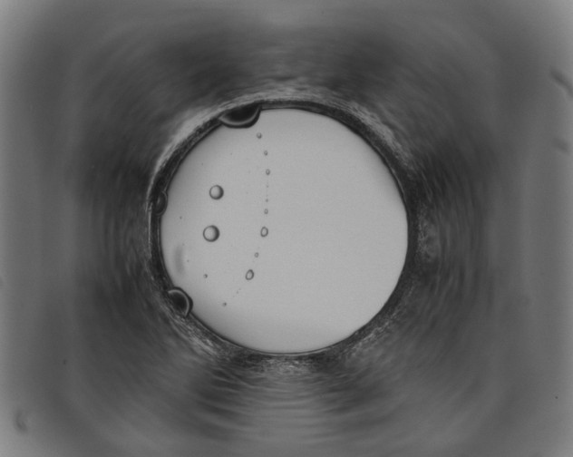 X0000097801270200804041306