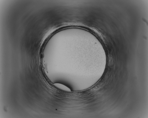 X0000097801271200804041306