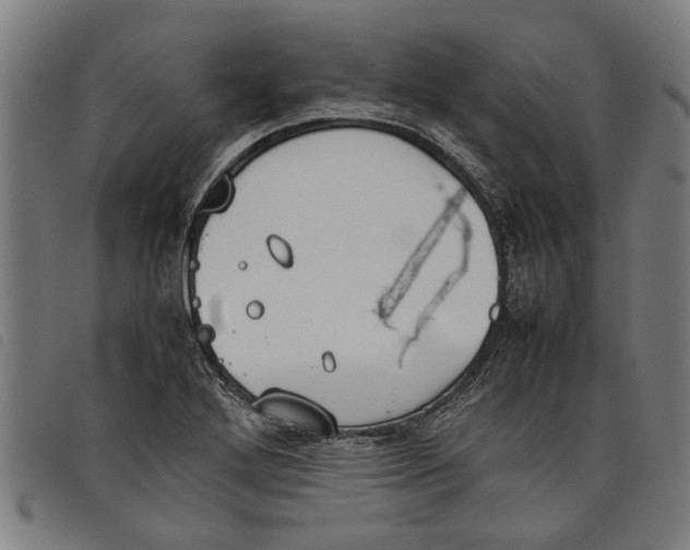 X0000097801272200804041306