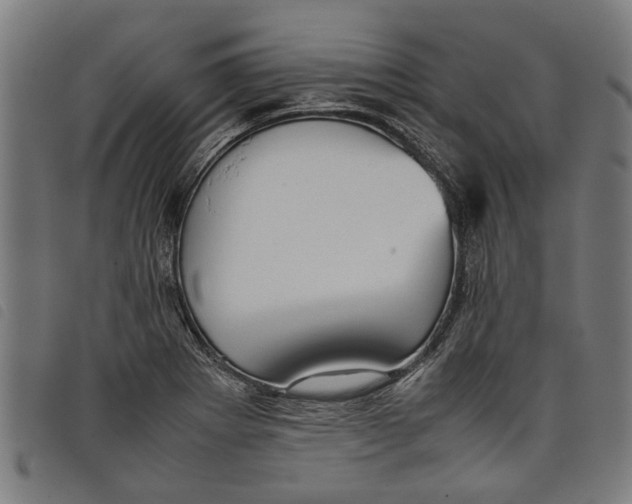 X0000097801273200804041306