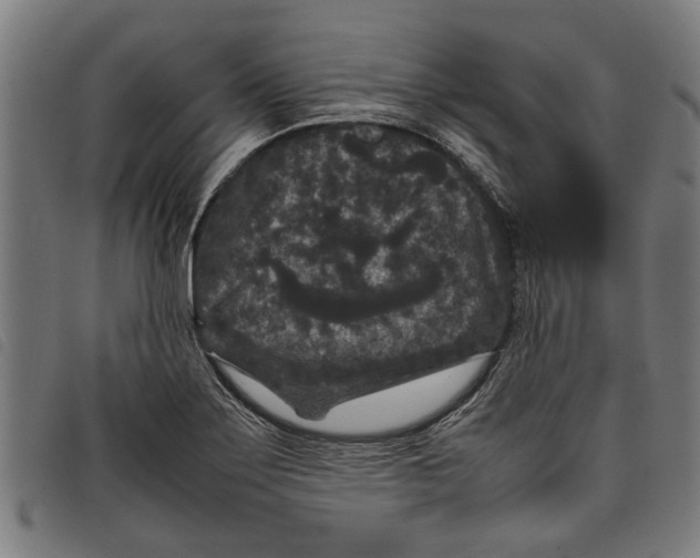 X0000097801275200804041306