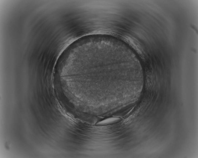 X0000097801276200804041306