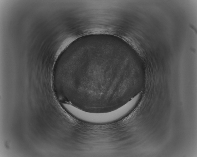 X0000097801277200804041306