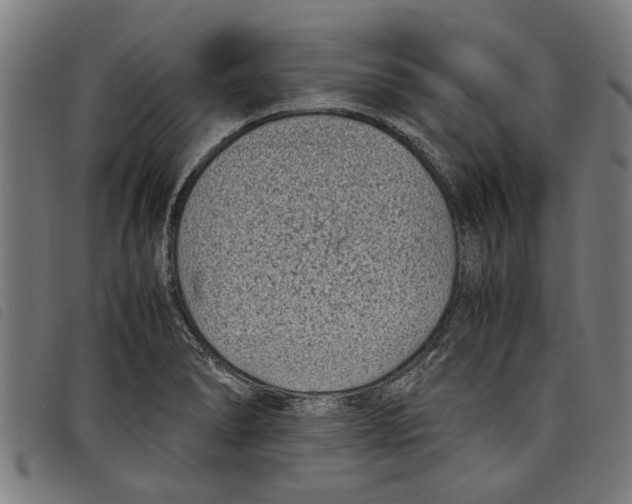 X0000097801278200804041306