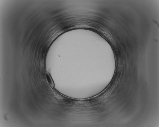 X0000097801281200804041306