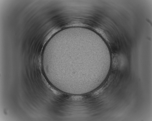 X0000097801282200804041306