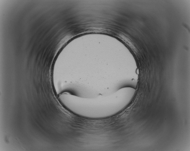 X0000097801283200804041306