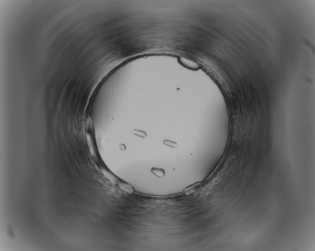 X0000097801284200804041306