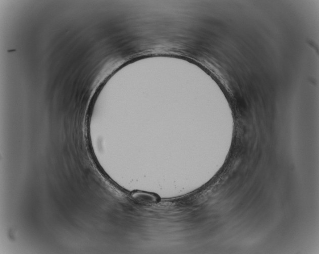 X0000097801285200804041306