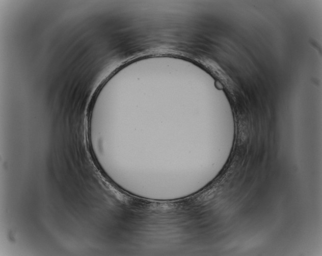 X0000097801286200804041306