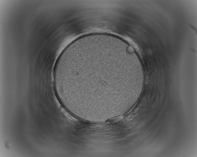 X0000097801287200804041306