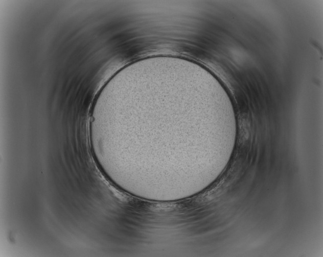 X0000097801290200804041306