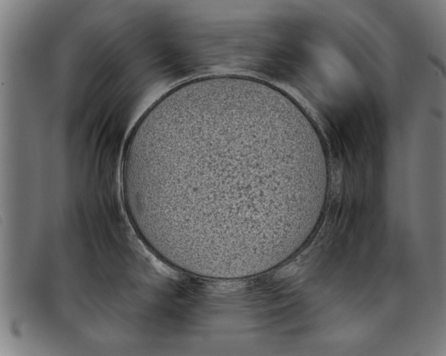 X0000097801294200804041306