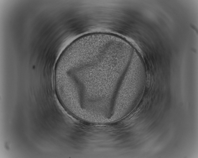 X0000097801295200804041306