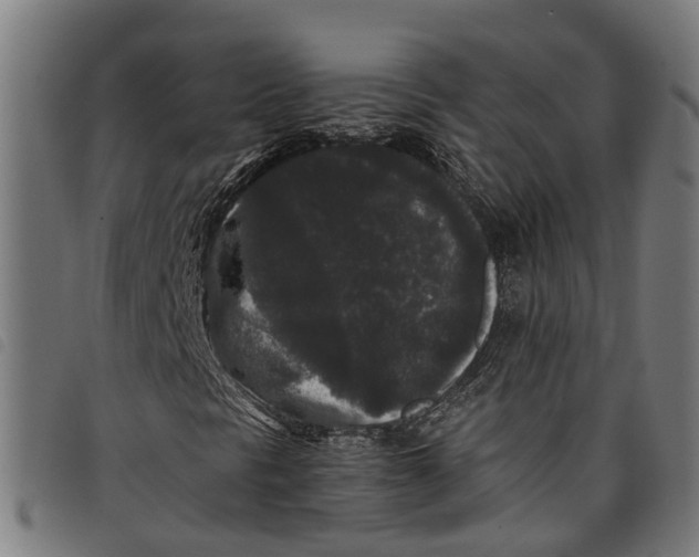 X0000097801297200804041305