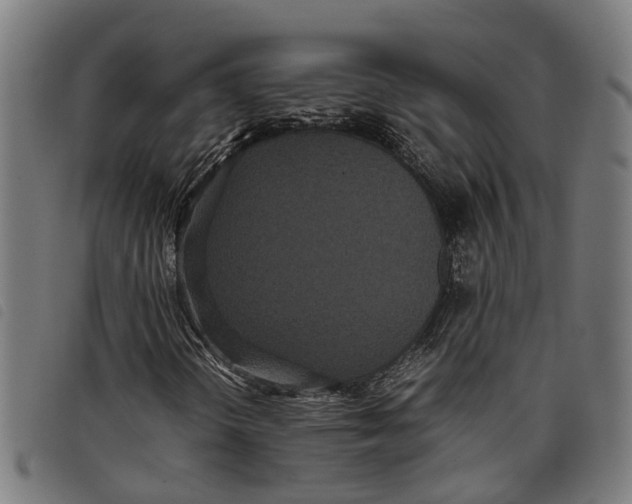 X0000097801298200804041305