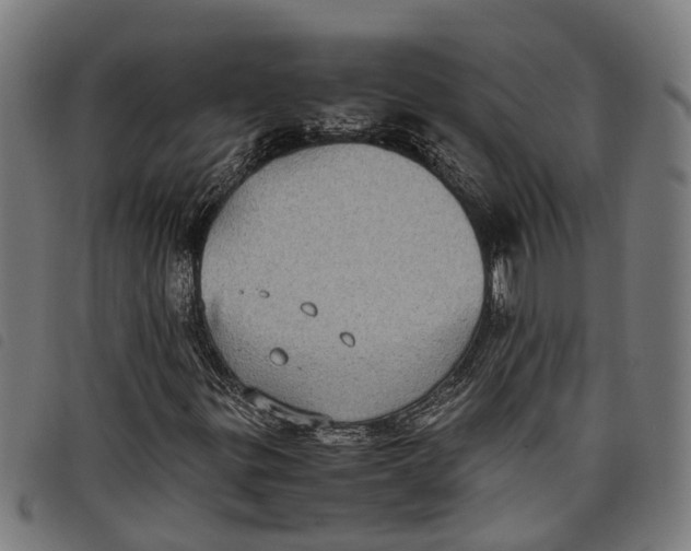 X0000097801299200804041305