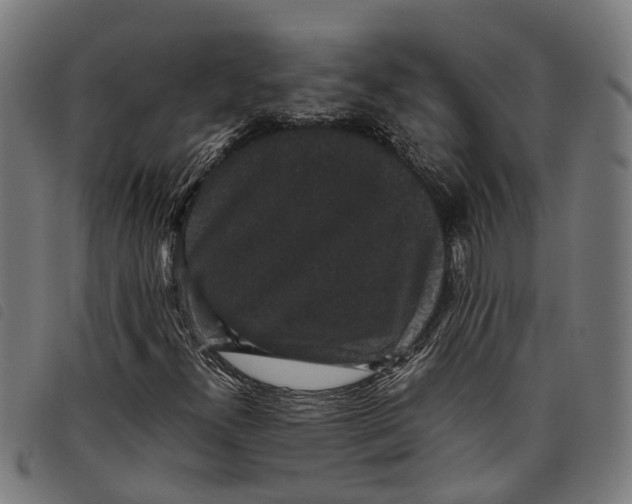 X0000097801300200804041305