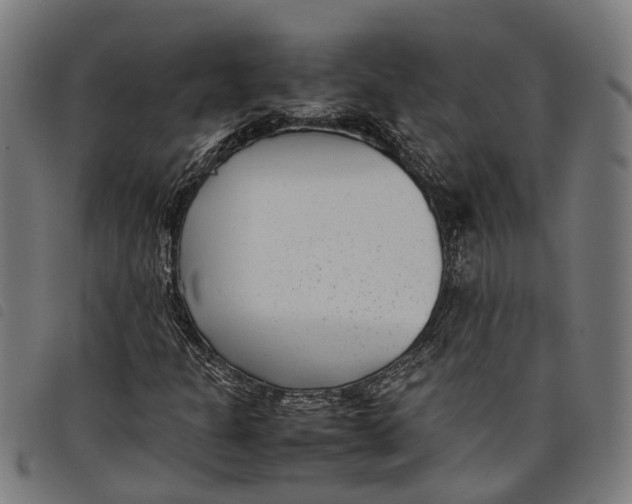 X0000097801301200804041305