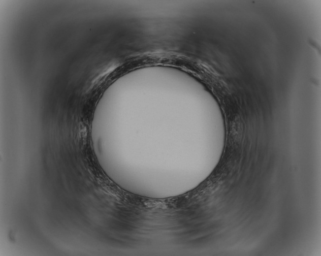 X0000097801302200804041305