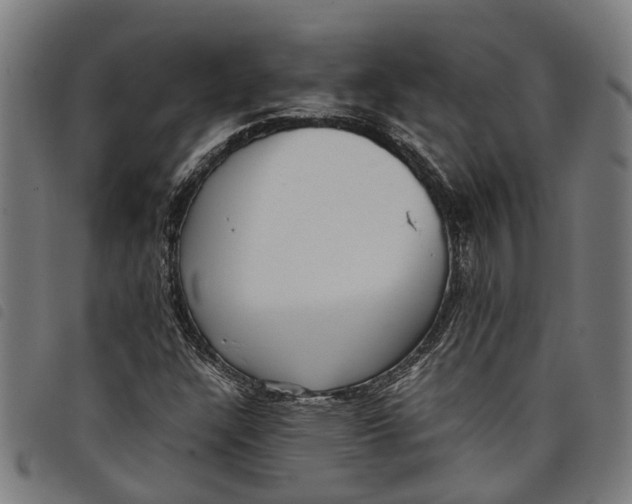 X0000097801304200804041305