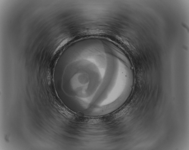 X0000097801306200804041305