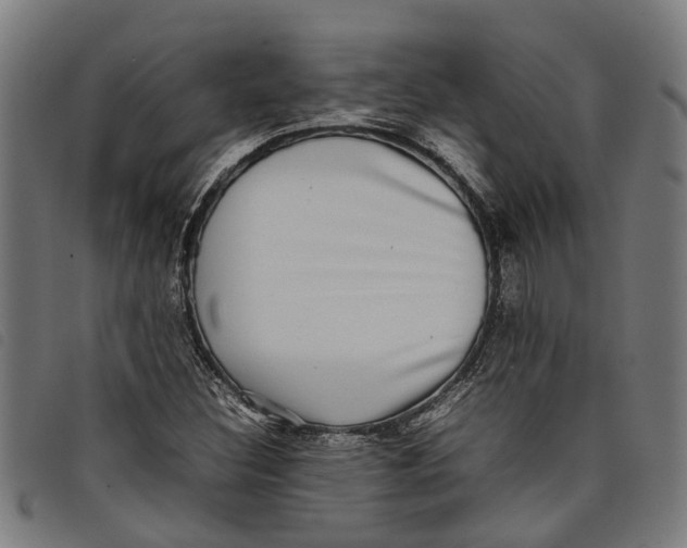 X0000097801308200804041305