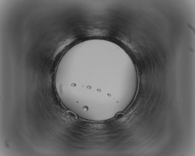 X0000097801309200804041305