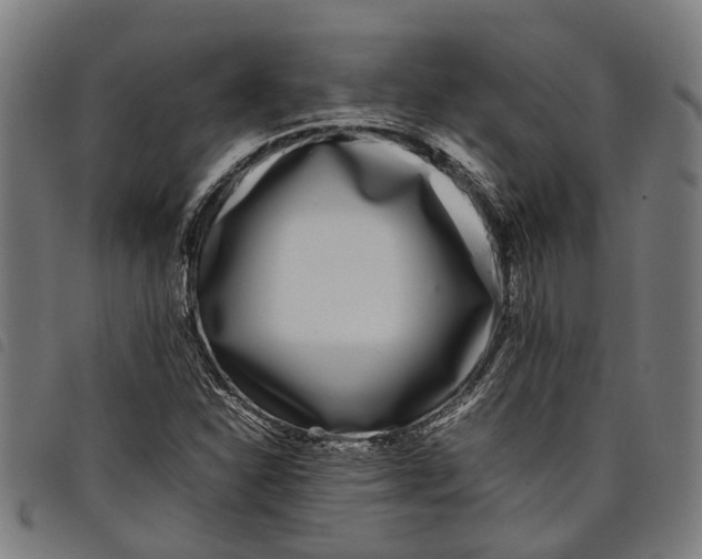 X0000097801310200804041305