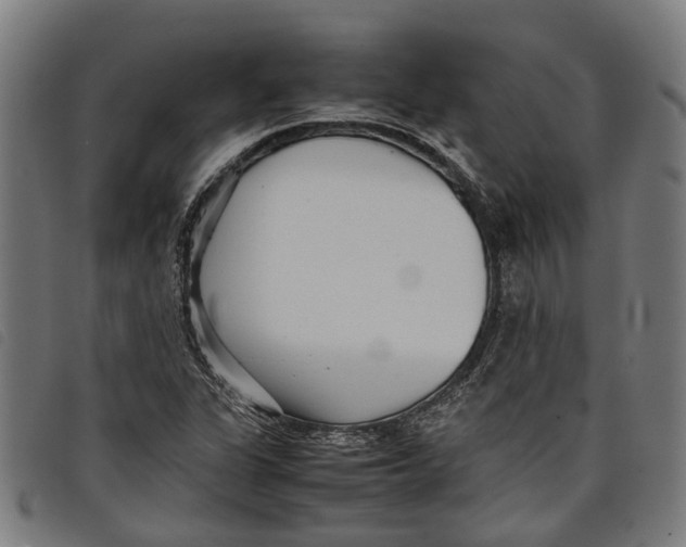 X0000097801311200804041305