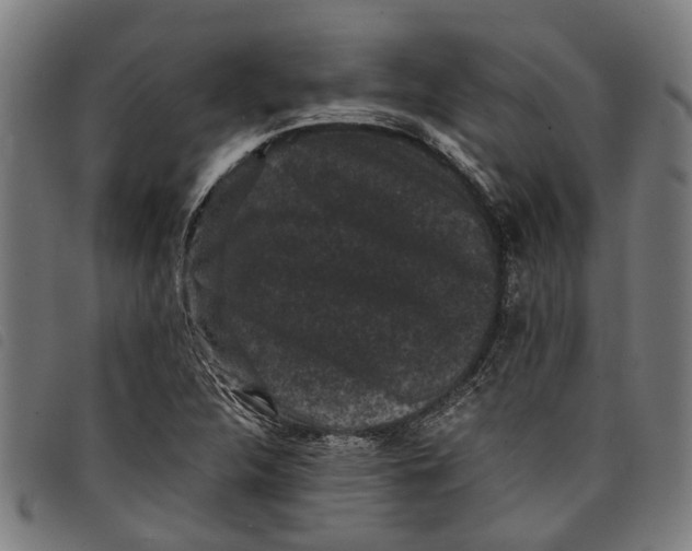 X0000097801312200804041305