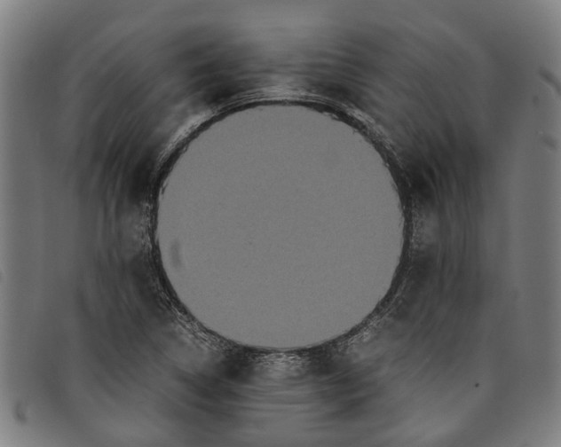 X0000097801314200804041305