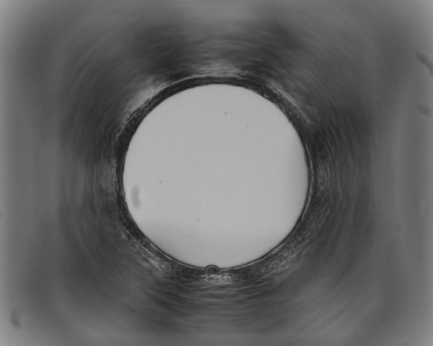 X0000097801315200804041305