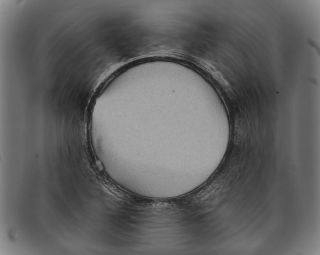 X0000097801316200804041305