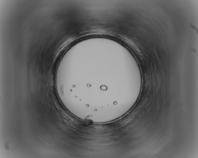 X0000097801318200804041305