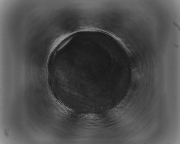 X0000097801319200804041305