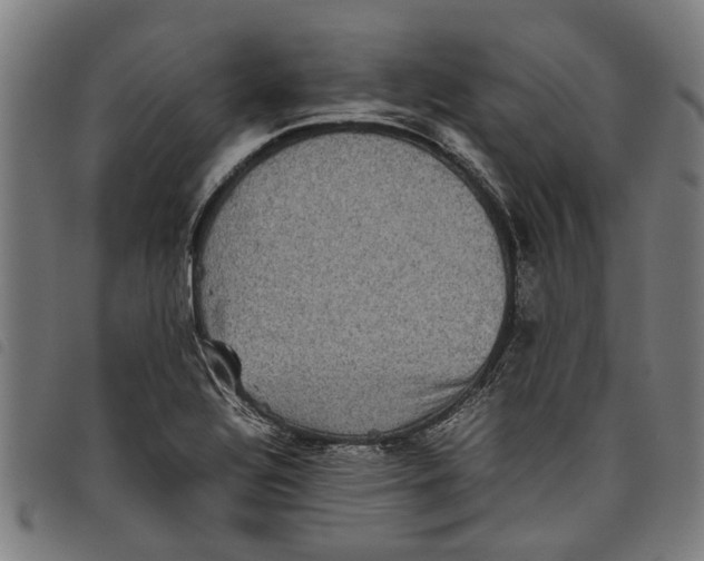 X0000097801320200804041305